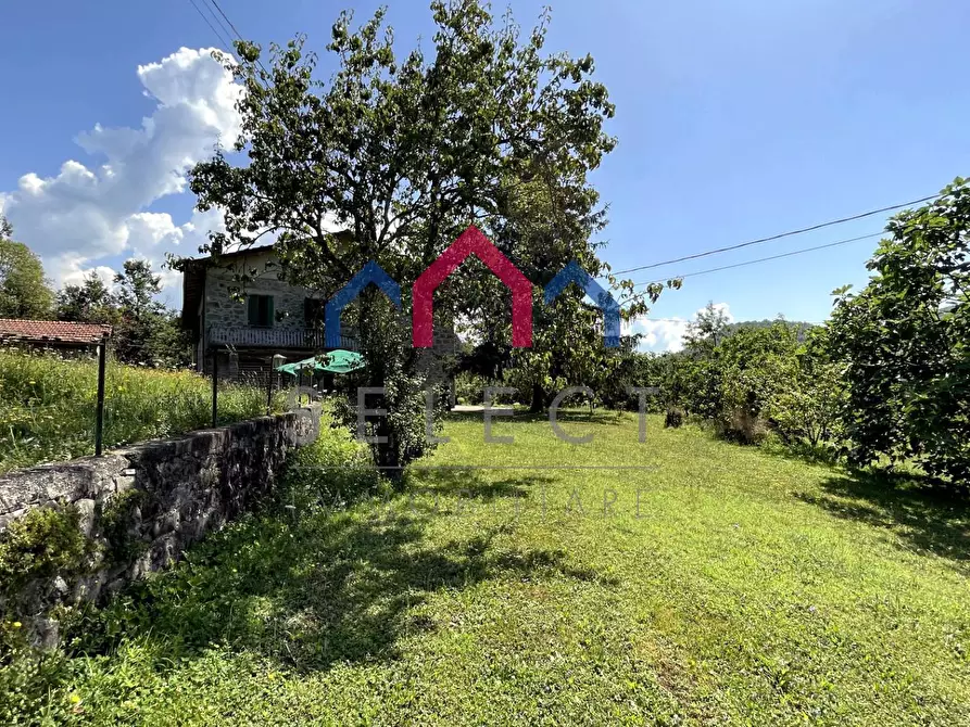 Immagine 22 di Rustico / casale in vendita  a Piazza Al Serchio