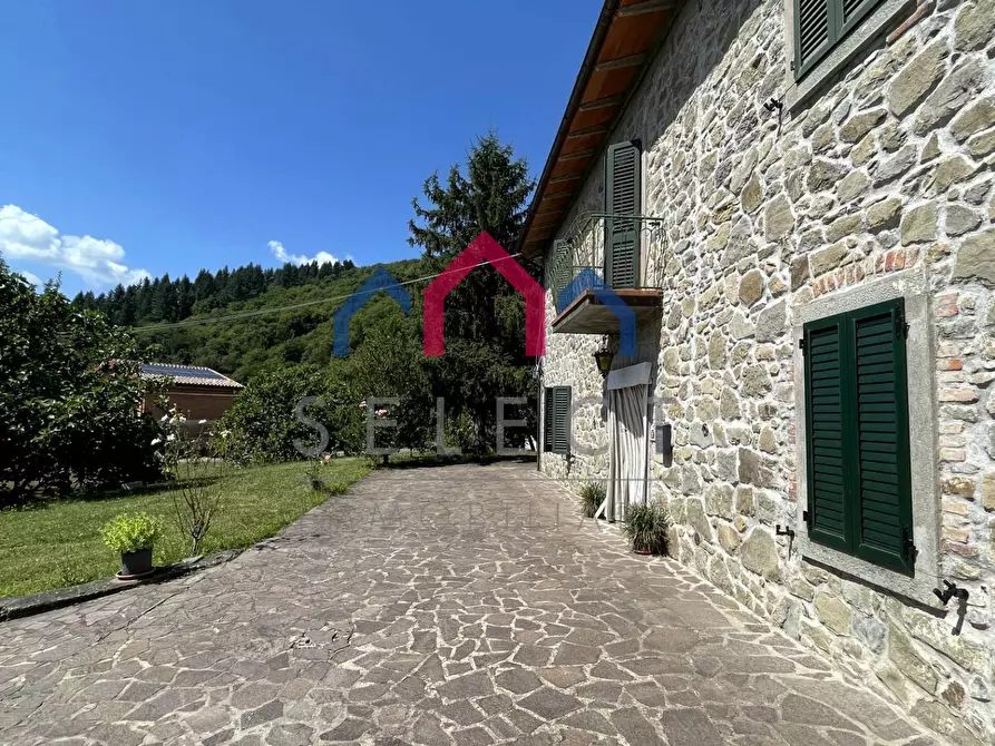 Immagine 6 di Rustico / casale in vendita  a Piazza Al Serchio