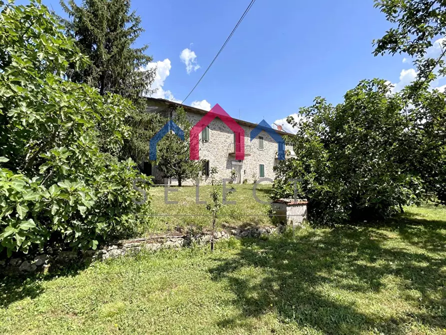 Immagine 2 di Rustico / casale in vendita  a Piazza Al Serchio