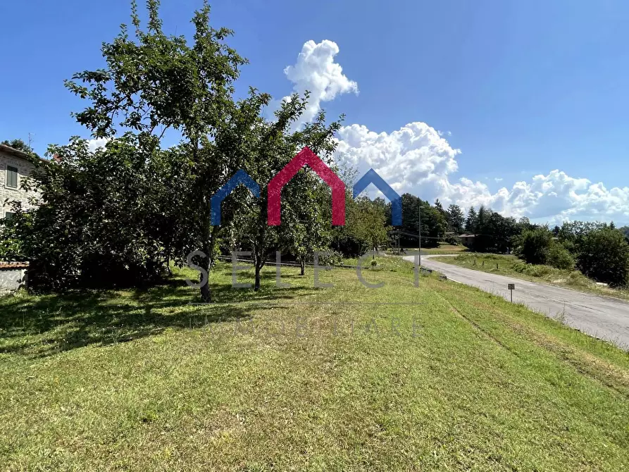 Immagine 82 di Rustico / casale in vendita  a Piazza Al Serchio