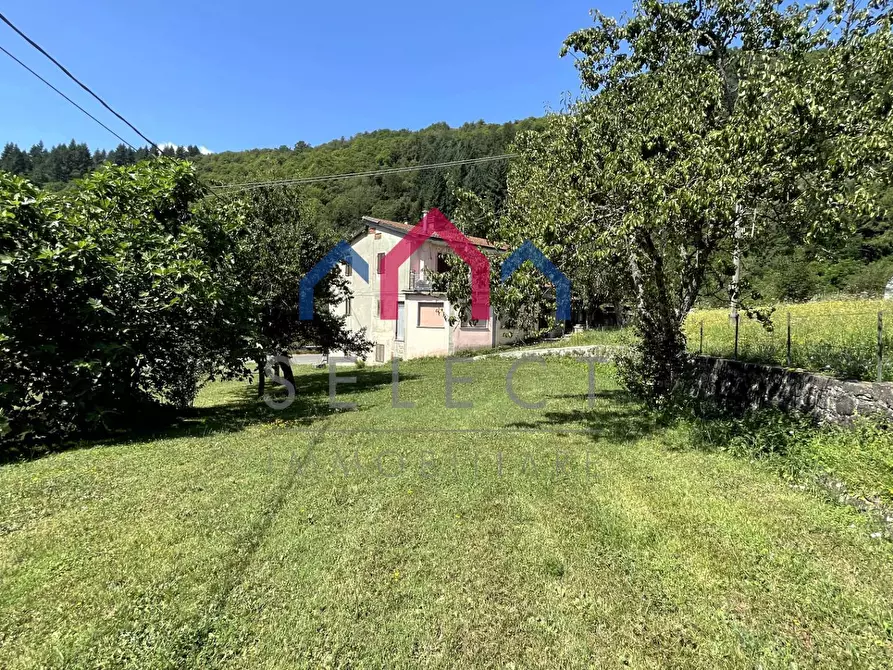 Immagine 17 di Rustico / casale in vendita  a Piazza Al Serchio