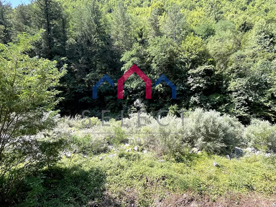 Immagine 32 di Casa indipendente in vendita  a Bagni Di Lucca