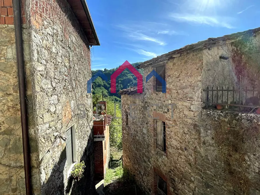 Immagine 25 di Terratetto in vendita  a Borgo A Mozzano