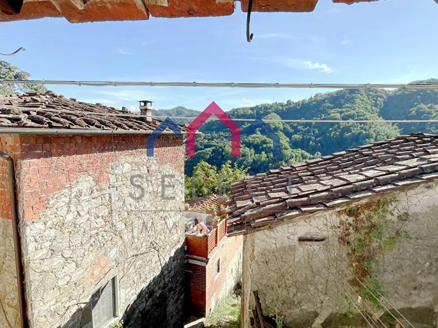 Immagine 39 di Terratetto in vendita  a Borgo A Mozzano