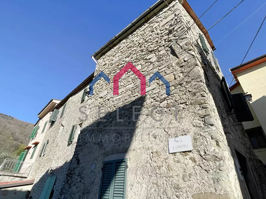 Immagine 6 di Terratetto in vendita  a San Marcello Piteglio