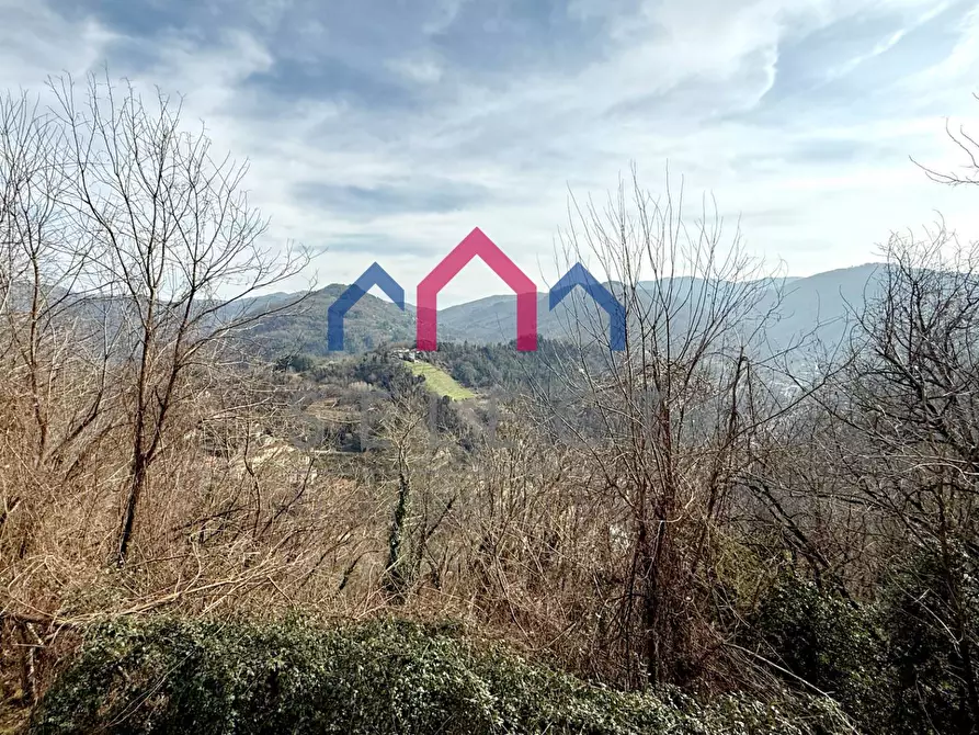 Immagine 27 di Villa in vendita  a Bagni Di Lucca