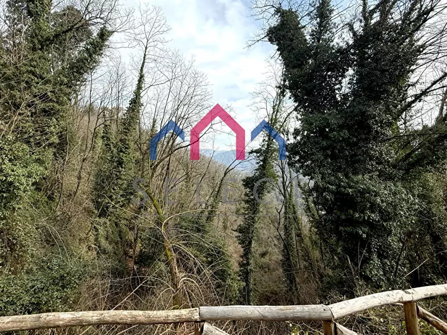 Immagine 5 di Villa in vendita  a Bagni Di Lucca