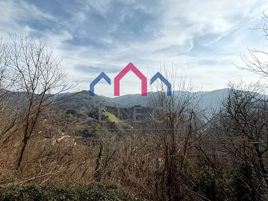 Immagine 28 di Villa in vendita  a Bagni Di Lucca