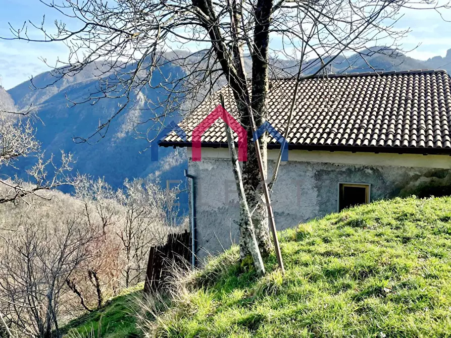 Immagine 4 di Rustico / casale in vendita  a Castelnuovo Di Garfagnana