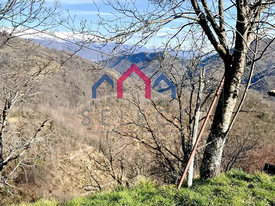 Immagine 5 di Rustico / casale in vendita  a Castelnuovo Di Garfagnana