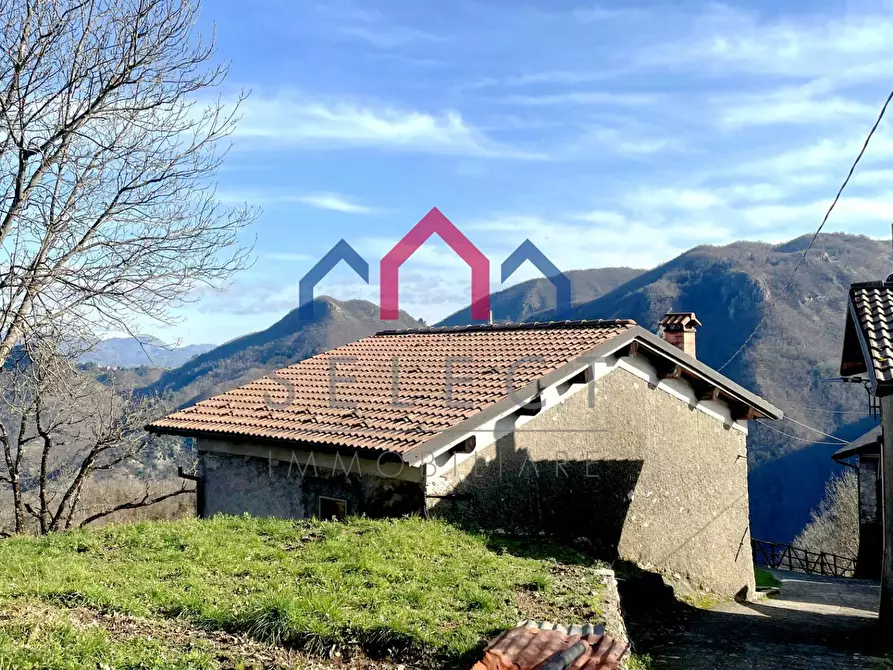 Immagine 2 di Rustico / casale in vendita  a Castelnuovo Di Garfagnana