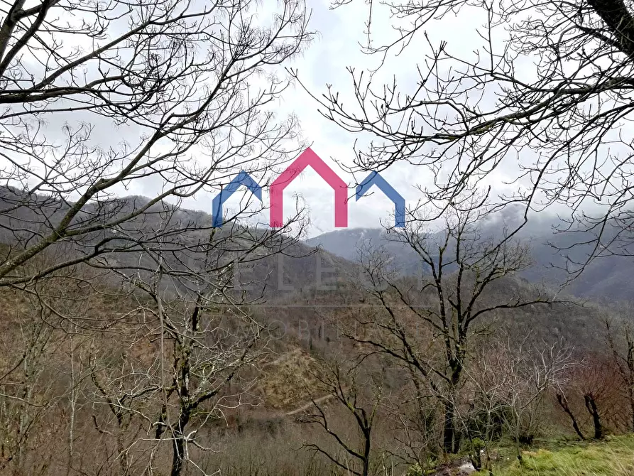 Immagine 38 di Rustico / casale in vendita  a Castelnuovo Di Garfagnana