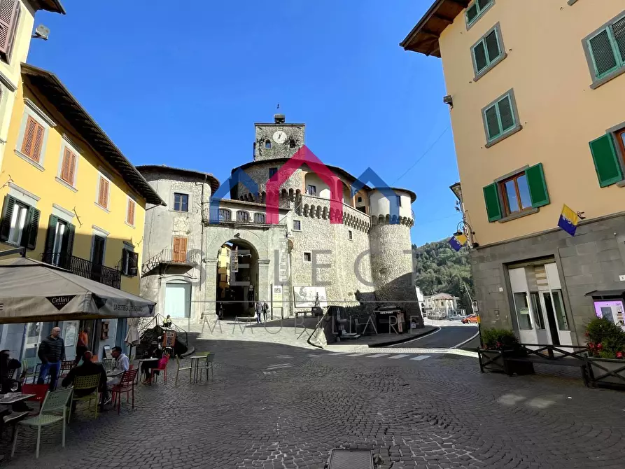 Immagine 56 di Appartamento in vendita  a Castelnuovo Di Garfagnana