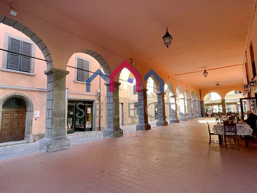 Immagine 57 di Appartamento in vendita  a Castelnuovo Di Garfagnana