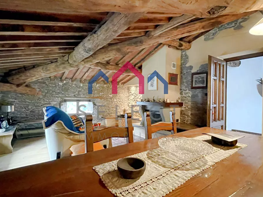 Immagine 41 di Villa in vendita  a Piazza Al Serchio