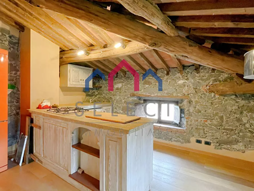 Immagine 38 di Villa in vendita  a Piazza Al Serchio