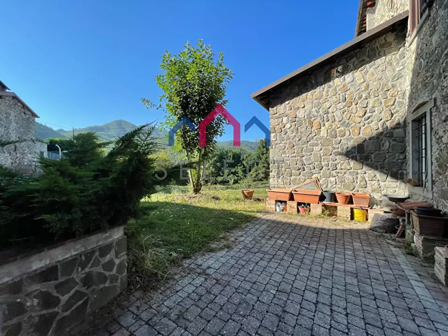 Immagine 75 di Villa in vendita  a Piazza Al Serchio