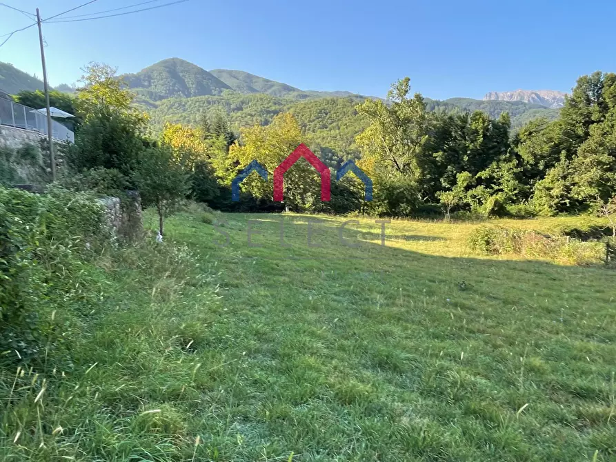 Immagine 67 di Villa in vendita  a Piazza Al Serchio