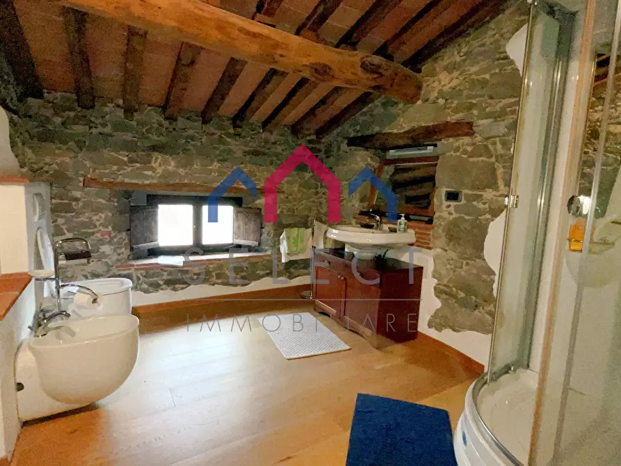 Immagine 48 di Villa in vendita  a Piazza Al Serchio