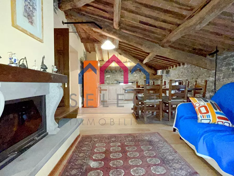 Immagine 46 di Villa in vendita  a Piazza Al Serchio