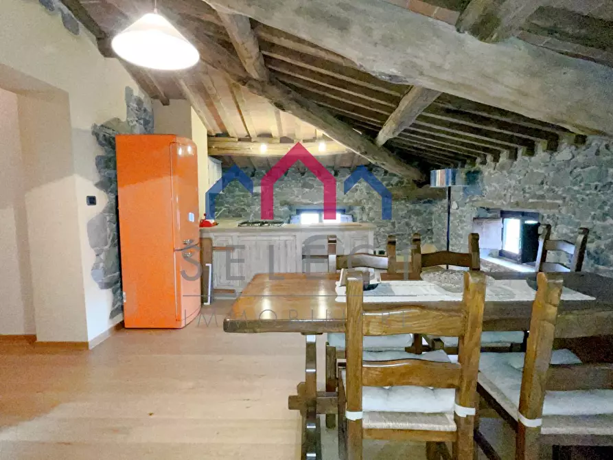 Immagine 47 di Villa in vendita  a Piazza Al Serchio