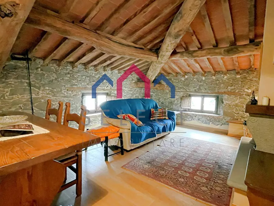 Immagine 40 di Villa in vendita  a Piazza Al Serchio