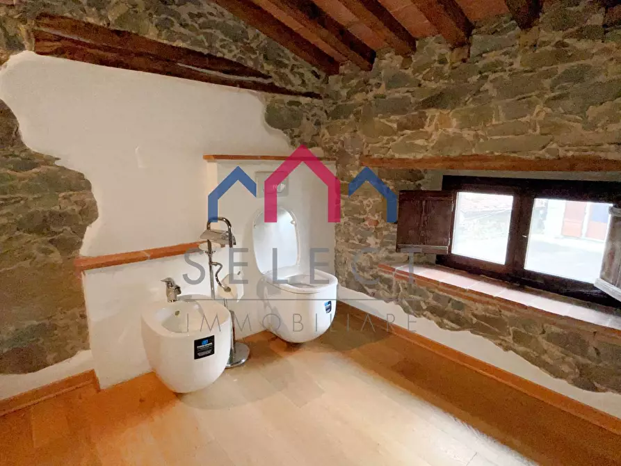 Immagine 49 di Villa in vendita  a Piazza Al Serchio