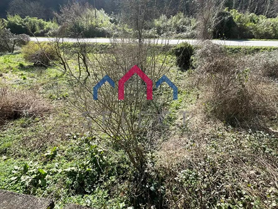 Immagine 73 di Casa semindipendente in vendita  a Borgo A Mozzano