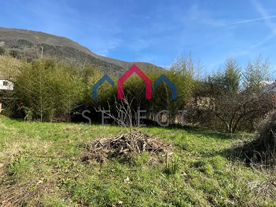 Immagine 75 di Casa semindipendente in vendita  a Borgo A Mozzano