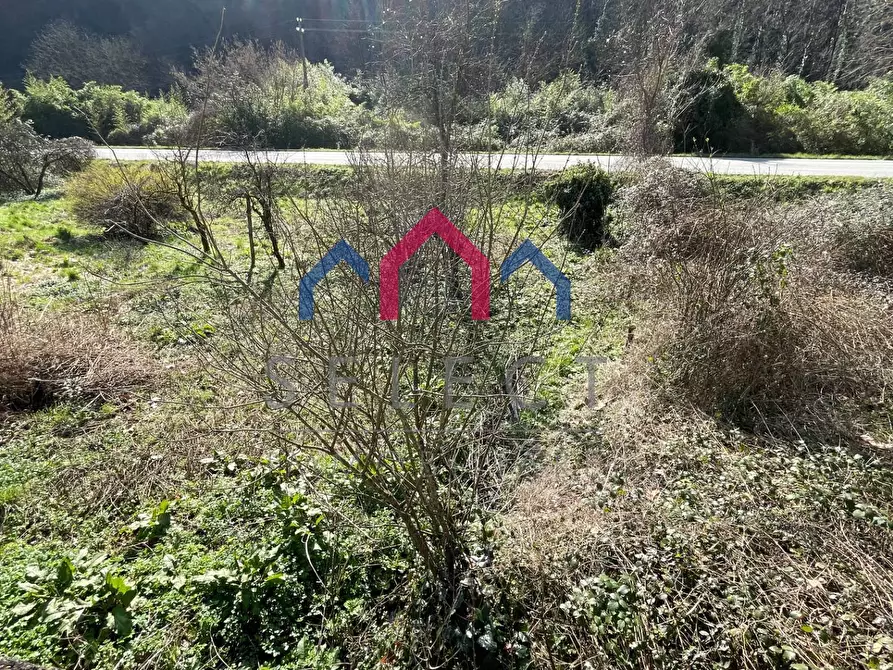 Immagine 80 di Casa semindipendente in vendita  a Borgo A Mozzano