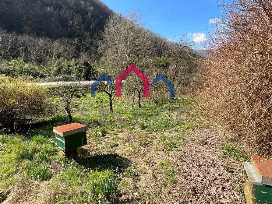 Immagine 66 di Casa semindipendente in vendita  a Borgo A Mozzano