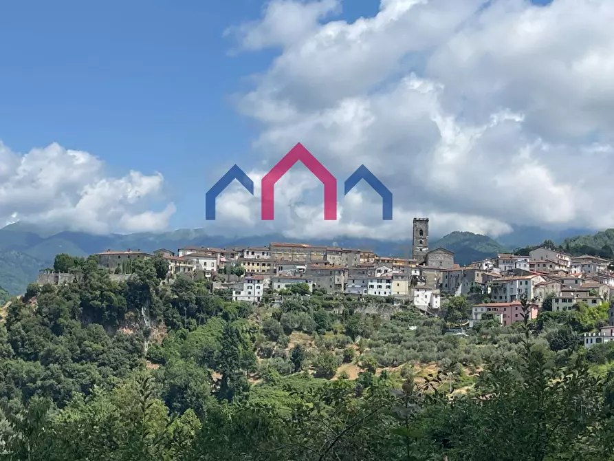 Immagine 32 di Casa semindipendente in vendita  a Coreglia Antelminelli