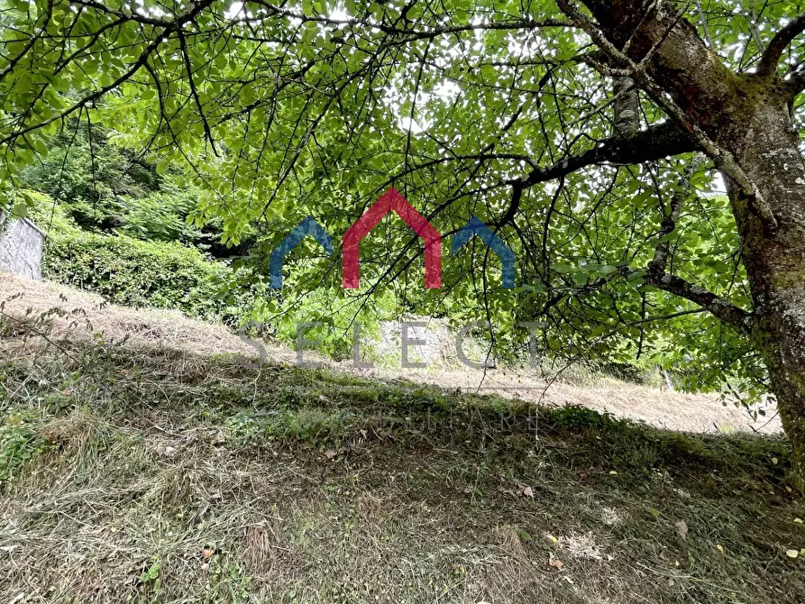 Immagine 68 di Palazzo in vendita  a Bagni Di Lucca