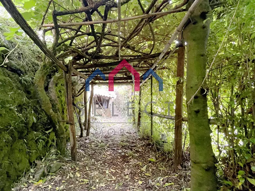 Immagine 70 di Palazzo in vendita  a Bagni Di Lucca