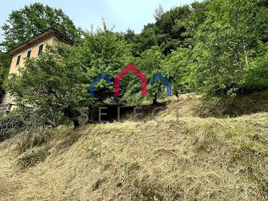 Immagine 65 di Palazzo in vendita  a Bagni Di Lucca