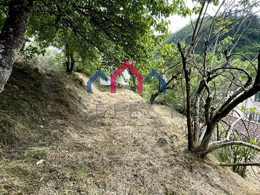 Immagine 67 di Palazzo in vendita  a Bagni Di Lucca