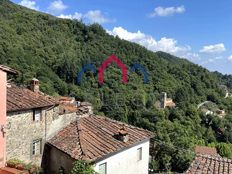 Immagine 30 di Casa semindipendente in vendita  a Pescaglia