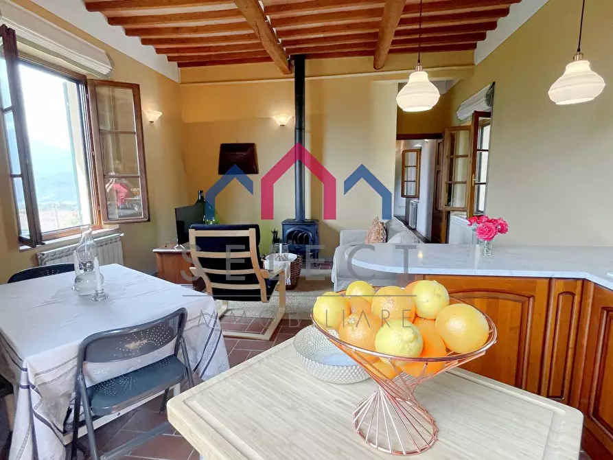 Immagine 30 di Appartamento in vendita  a Barga