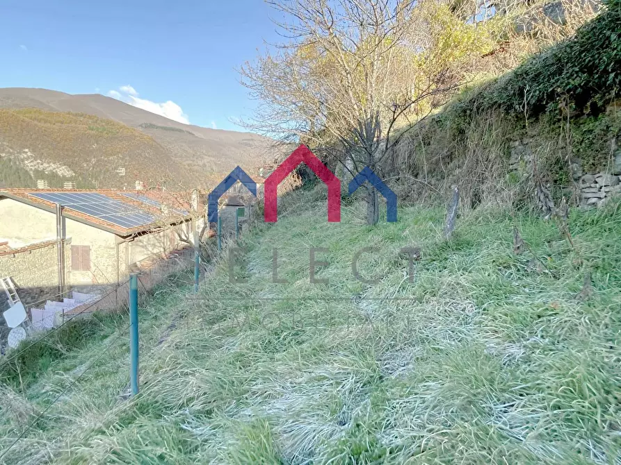 Immagine 97 di Casa semindipendente in vendita  a Sillano Giuncugnano