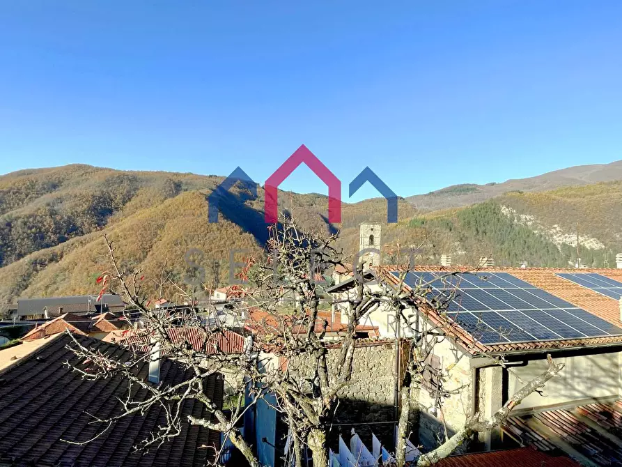 Immagine 3 di Casa semindipendente in vendita  a Sillano Giuncugnano