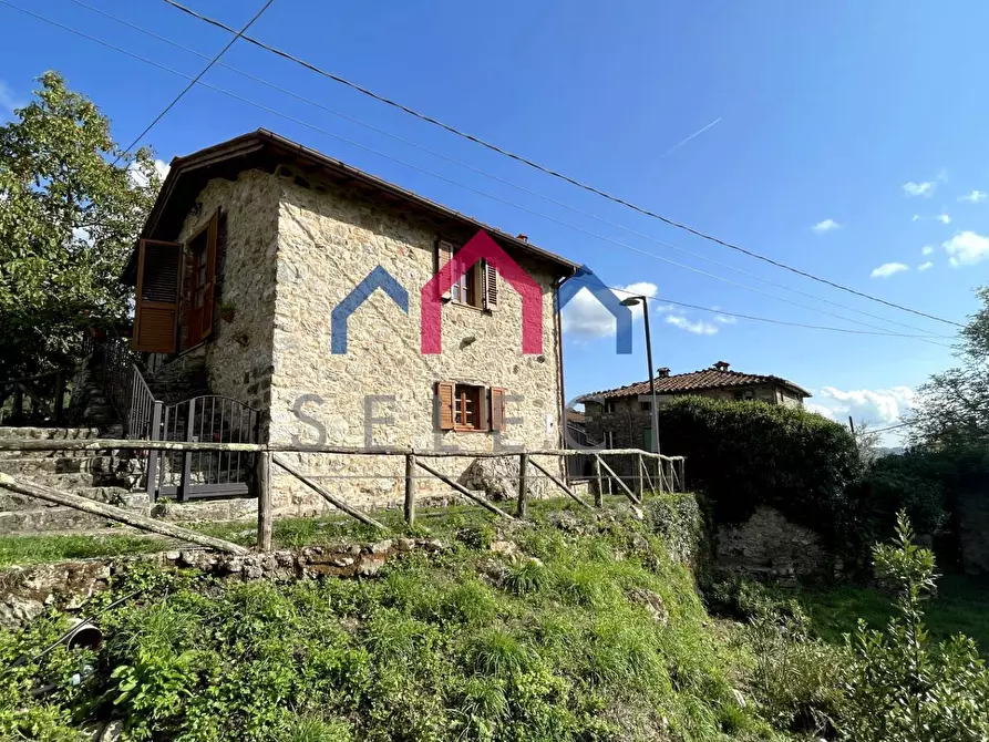 Immagine 92 di Rustico / casale in vendita  a Pescaglia
