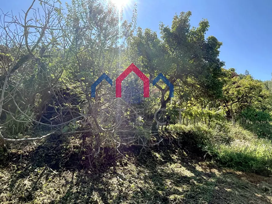 Immagine 55 di Casa semindipendente in vendita  a Bagni Di Lucca