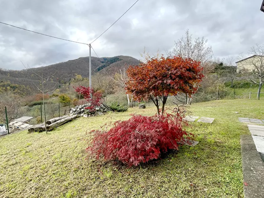 Immagine 7 di Casa semindipendente in vendita  a Castelnuovo Di Garfagnana