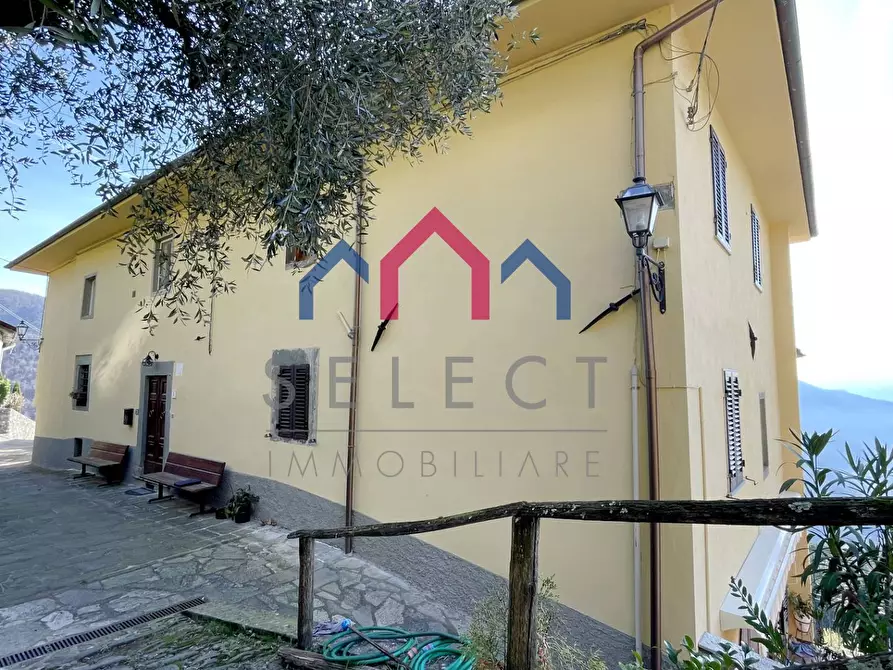 Immagine 3 di Appartamento in vendita  a Coreglia Antelminelli