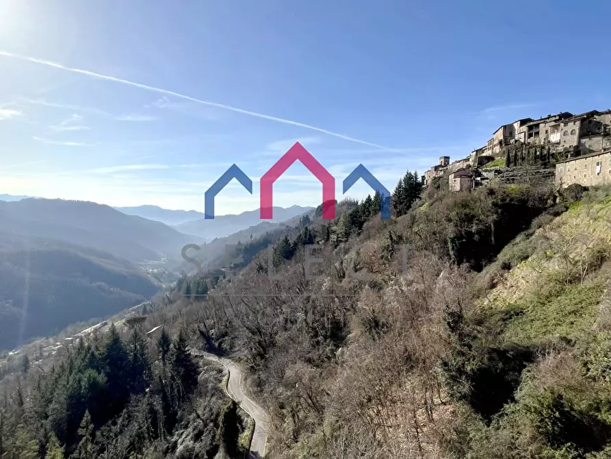 Immagine 20 di Appartamento in vendita  a Coreglia Antelminelli