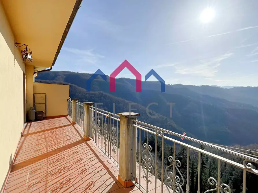 Immagine 22 di Appartamento in vendita  a Coreglia Antelminelli