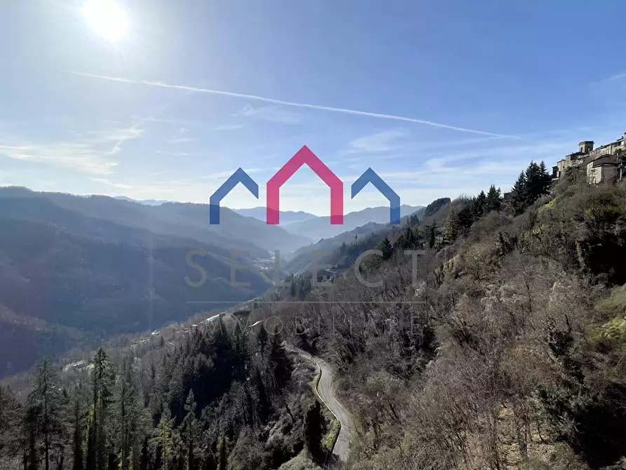 Immagine 31 di Appartamento in vendita  a Coreglia Antelminelli