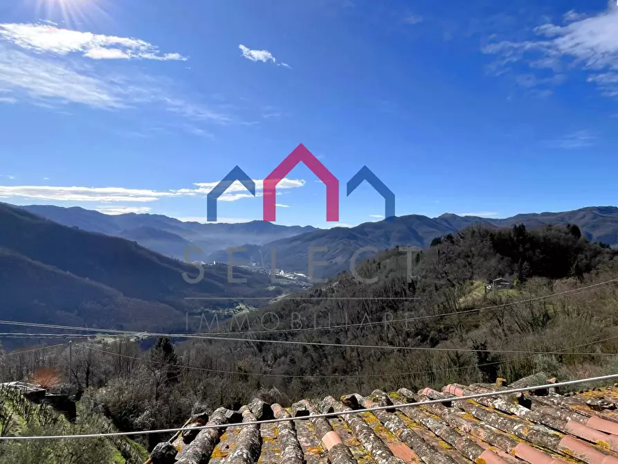 Immagine 45 di Casa semindipendente in vendita  a Coreglia Antelminelli