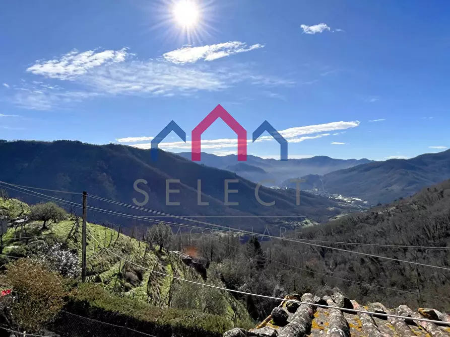 Immagine 46 di Casa semindipendente in vendita  a Coreglia Antelminelli