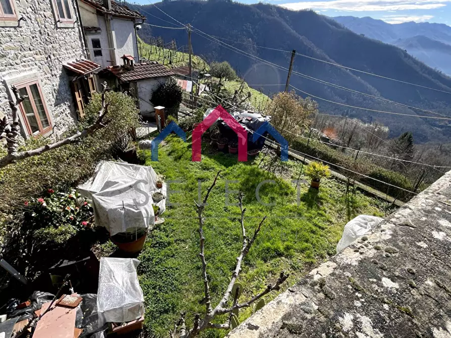 Immagine 44 di Casa semindipendente in vendita  a Coreglia Antelminelli
